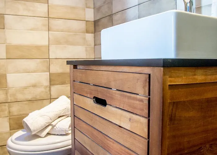 The Grapevine פורוס