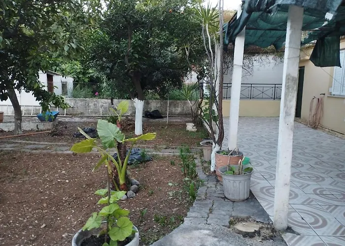 The Grapevine פורוס