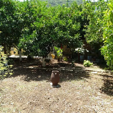 The Grapevine Apartament Poros (Kefalonia)