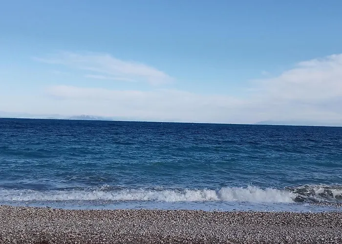 Apartment The Grapevine