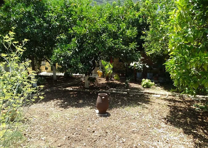 The Grapevine Apartment Poros (Kefalonia)