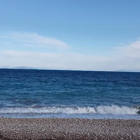 Апартаменты The Grapevine