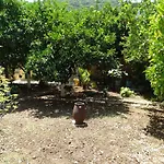 The Grapevine Διαμέρισμα Πόρος