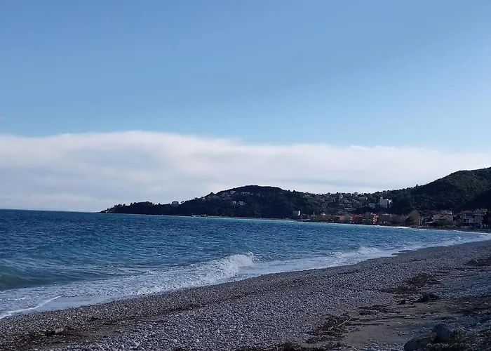 Apartamento The Grapevine